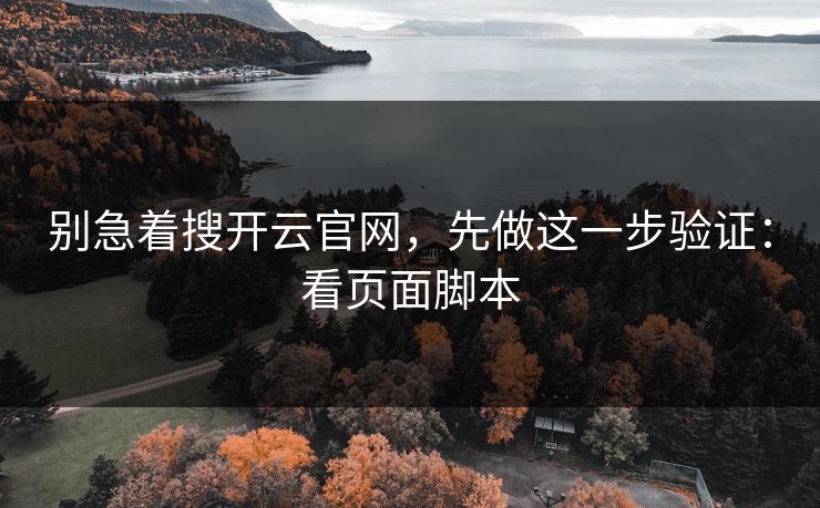 别急着搜开云官网，先做这一步验证：看页面脚本