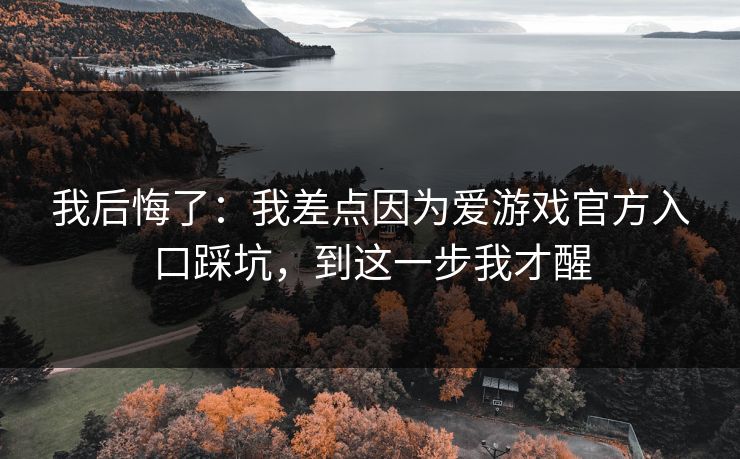 我后悔了：我差点因为爱游戏官方入口踩坑，到这一步我才醒