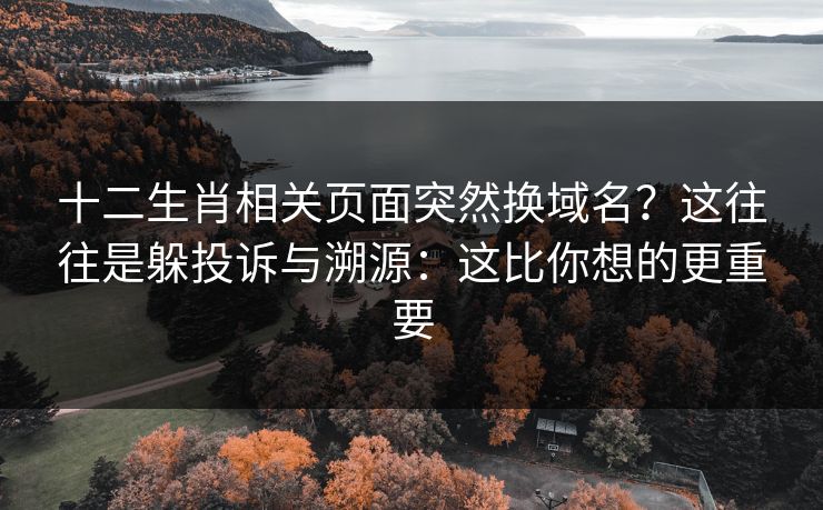 十二生肖相关页面突然换域名？这往往是躲投诉与溯源：这比你想的更重要