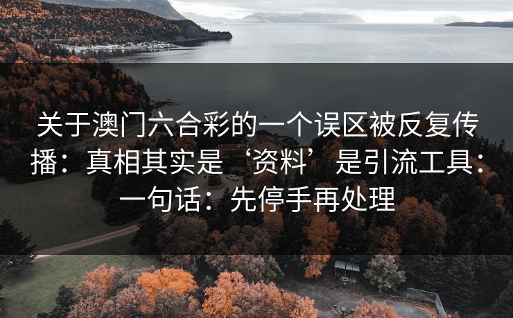 关于澳门六合彩的一个误区被反复传播：真相其实是‘资料’是引流工具：一句话：先停手再处理